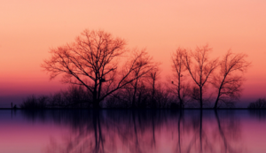 广州空气治理公司排名,广州空气环境